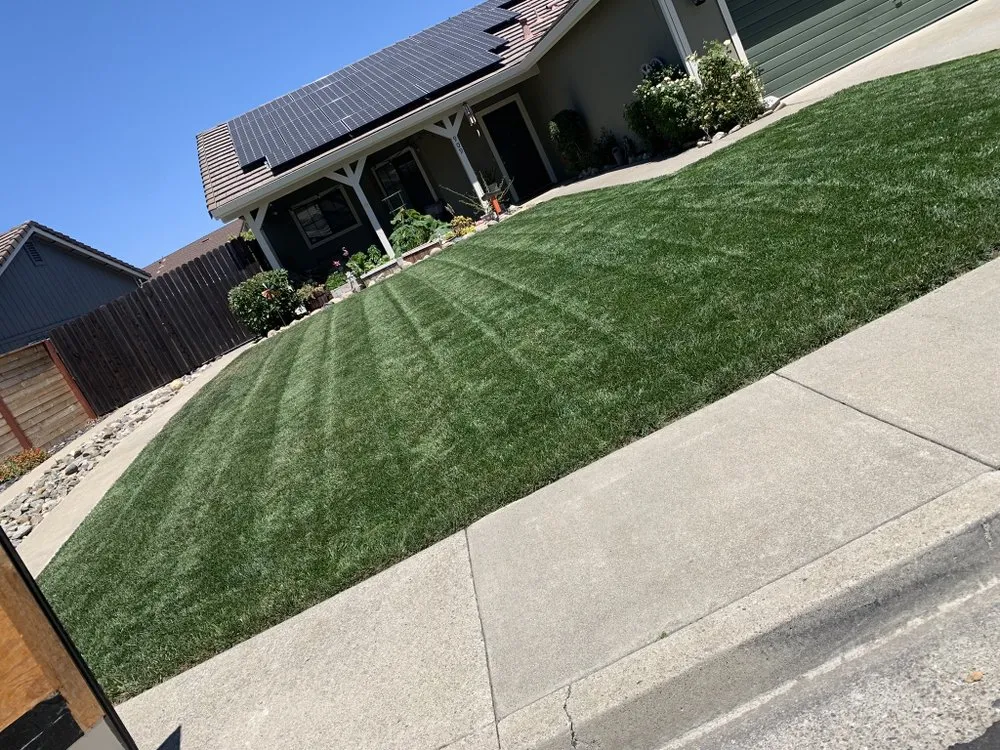 Top-rated lawn mowing service in Fairfield, CA - L&L Lawn Maintenance
