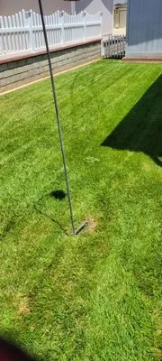 L&L Lawncare & Tree Service Logo