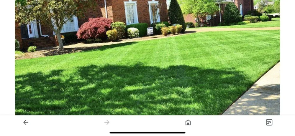 Local yard cleanup service in Dandridge, TN - L&L Lawncare