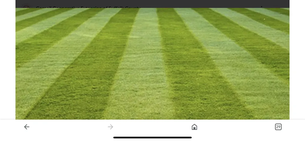 Local outdoor landscaping with custom design in Dandridge, TN by L&L Lawncare