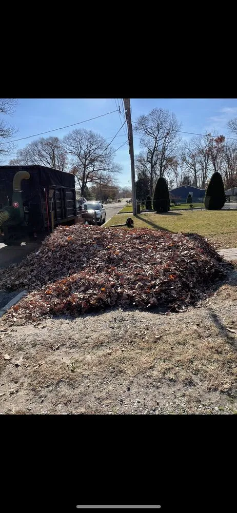 Professional yard cleanup service in Toms River, NJ - L.L. Lawns