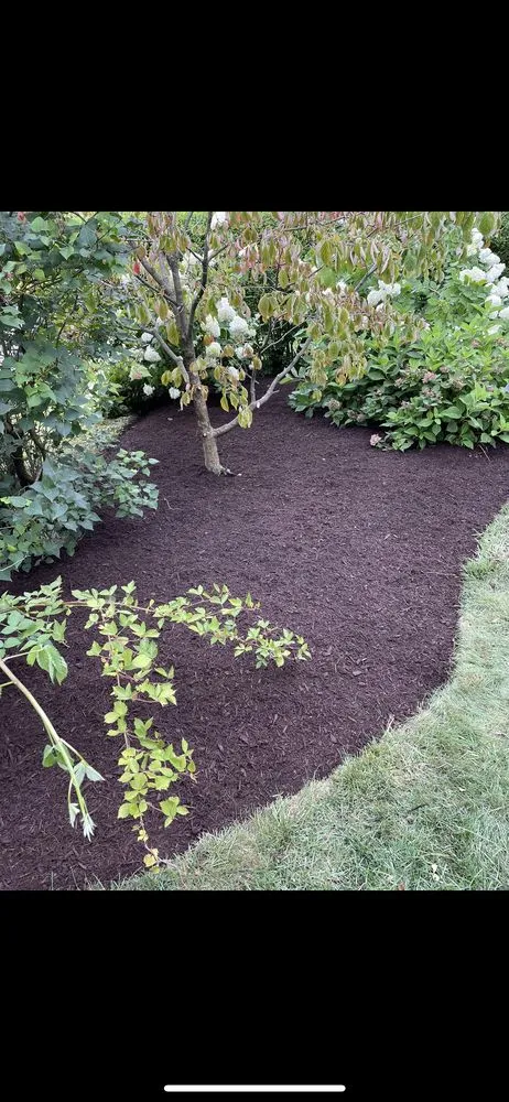 Expert lawn mowing service for year-round maintenance across Toms River, NJ - L.L. Lawns