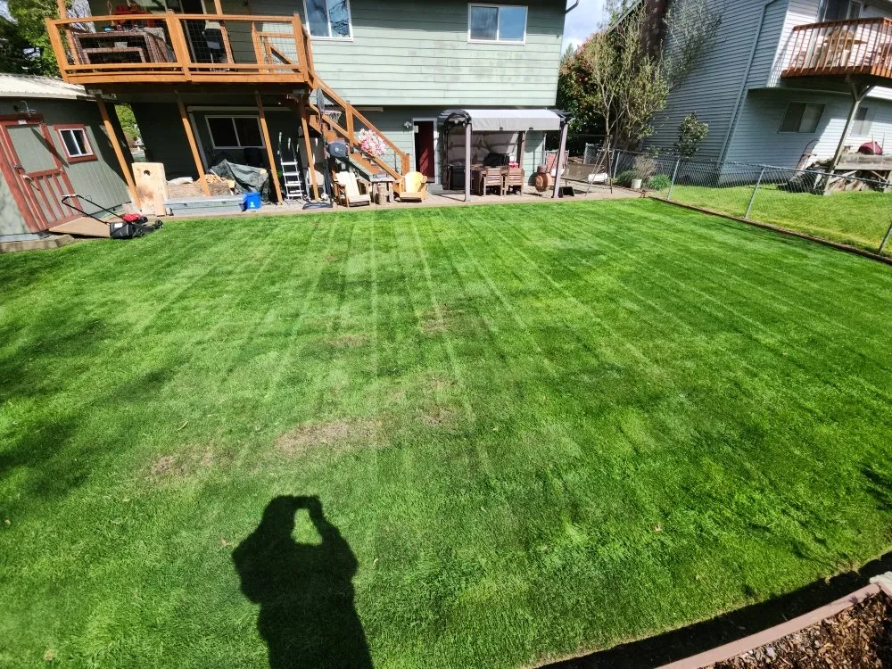 Trusted yard cleanup service for year-round maintenance across Marysville, WA - L&L Mowing & Pressure Washing