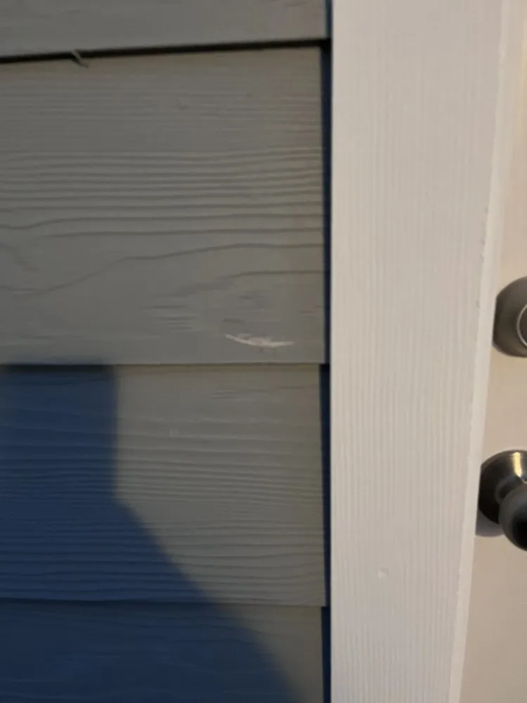 Top-rated landscape installation in San Antonio, TX by L&L Renovations and Lawn Services