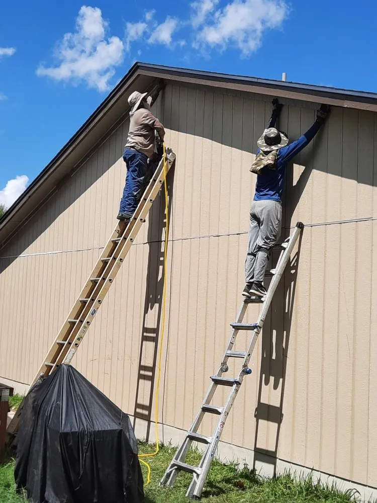 Affordable outdoor landscaping in San Antonio, TX by L&L Renovations and Lawn Services