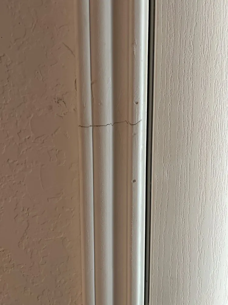 Reliable yard cleanup service in San Antonio, TX by L&L Renovations and Lawn Services