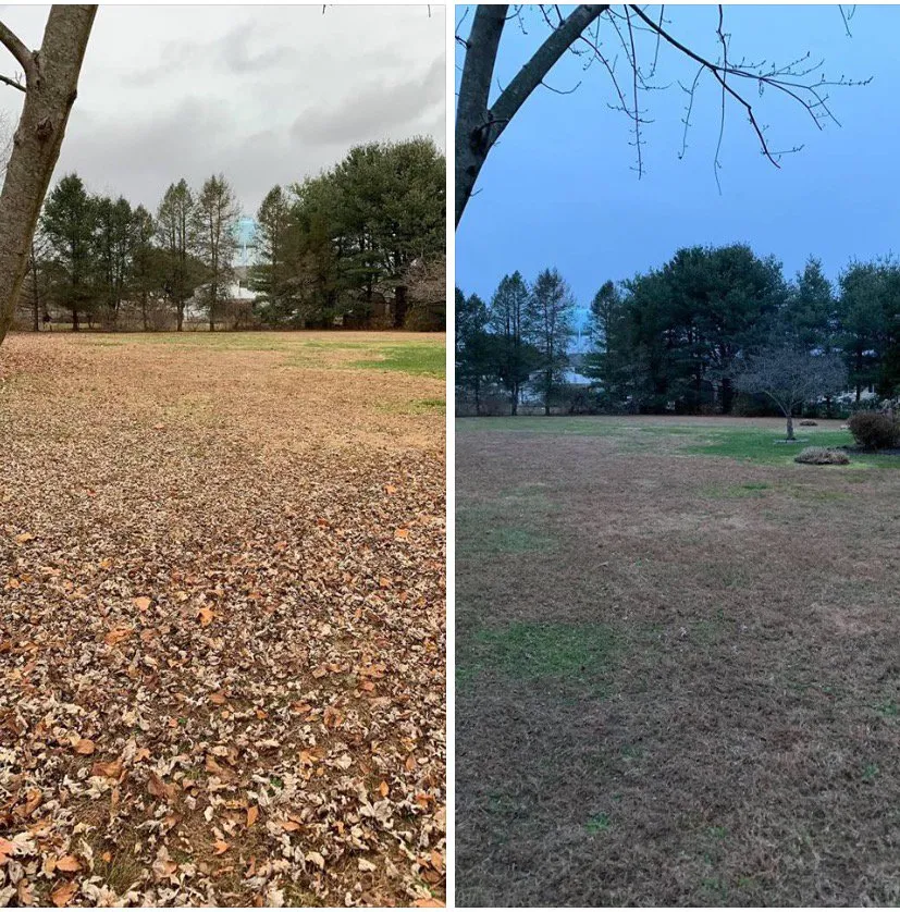 Custom outdoor landscaping in Medford Lakes, NJ by LL Scapes Landscaping