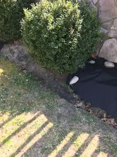 Reliable yard cleanup service in Medford Lakes, NJ by LL Scapes Landscaping