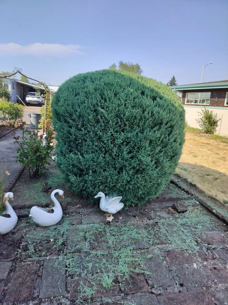 Local landscape design for year-round maintenance across Hillsboro, OR - LL Yard Services