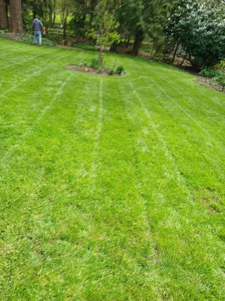 Trusted lawn care service experts serving Hillsboro, OR - LL Yard Services