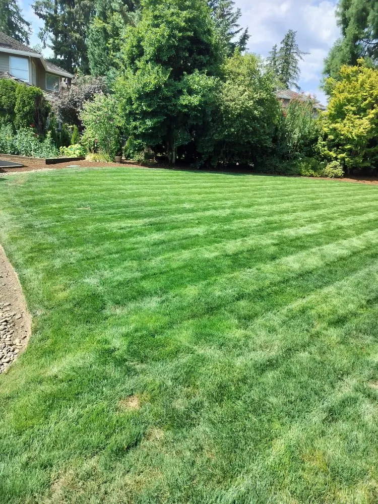 Professional landscape design near you across Hillsboro, OR - LL Yard Services