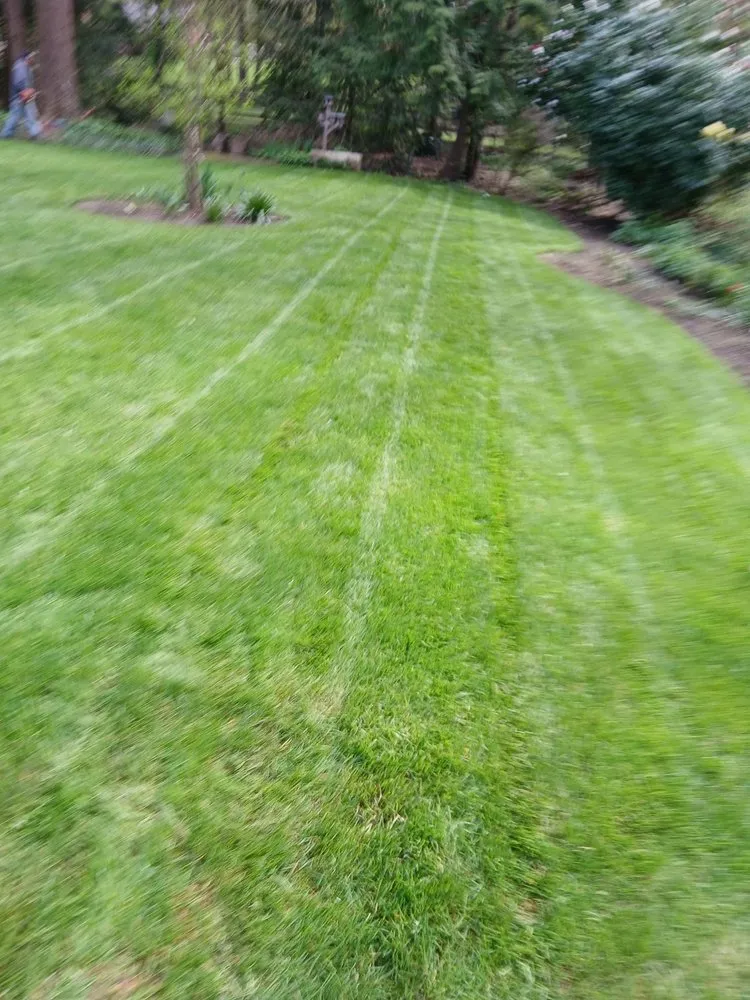 Custom lawn mowing service in Hillsboro, OR - LL Yard Services
