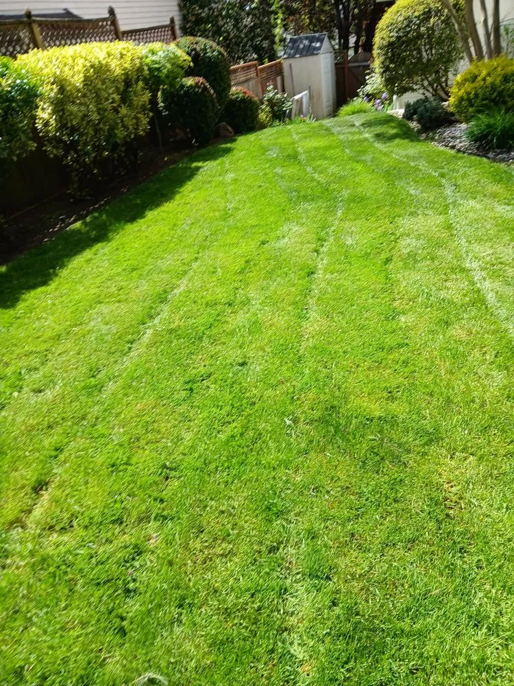 Affordable landscaping services experts serving Hillsboro, OR - LL Yard Services