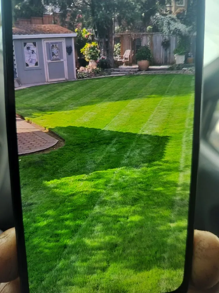 Affordable landscape design in Hillsboro, OR by LL Yard Services