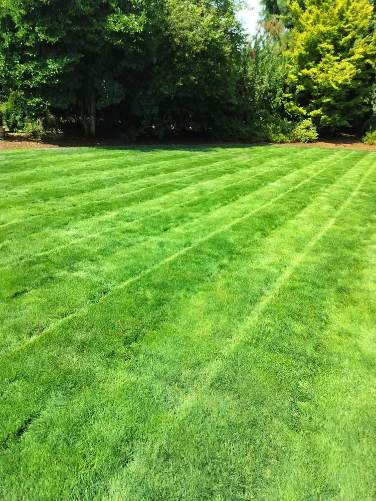 Custom lawn mowing service experts serving Hillsboro, OR - LL Yard Services
