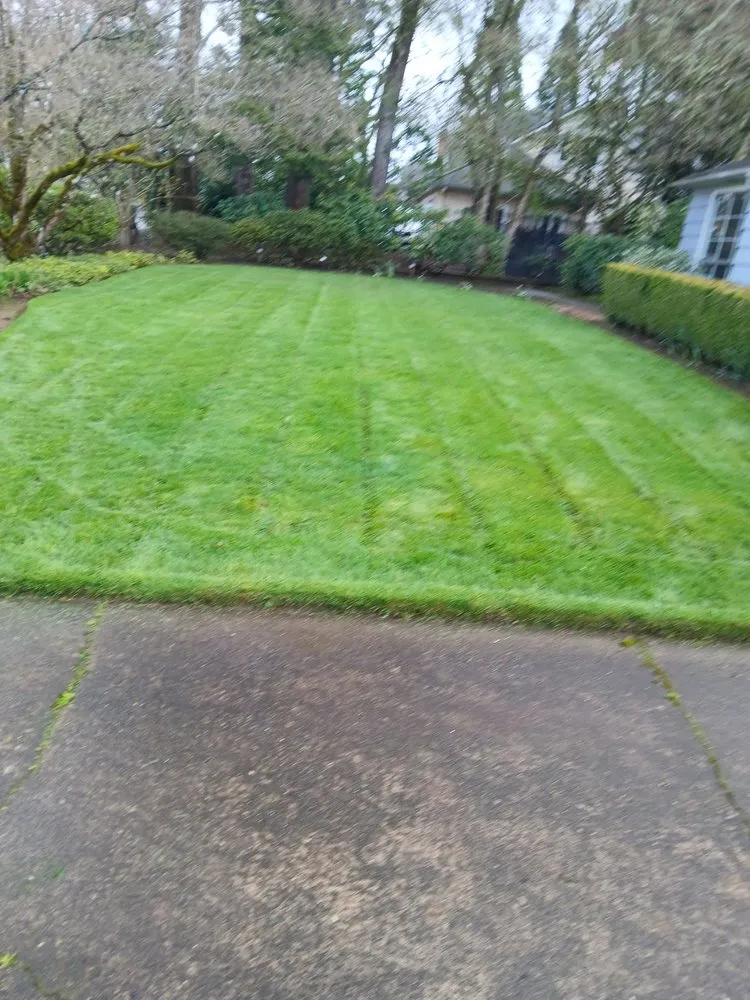 Expert outdoor landscaping in Hillsboro, OR - LL Yard Services