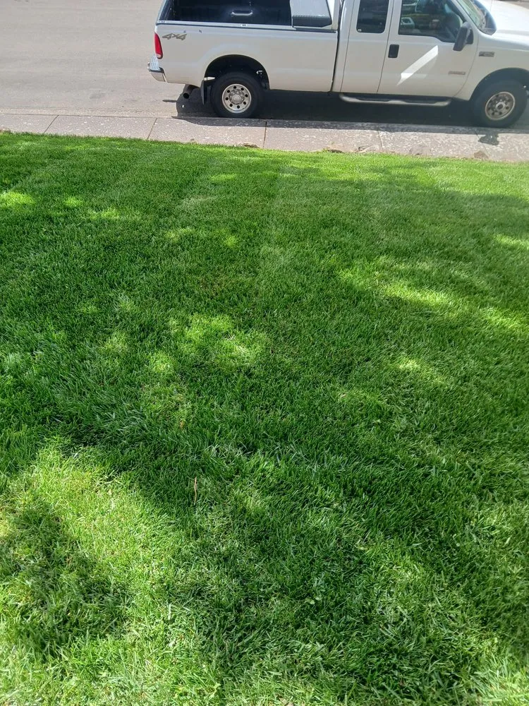 Trusted residential landscaping for beautiful yards in Hillsboro, OR by LL Yard Services