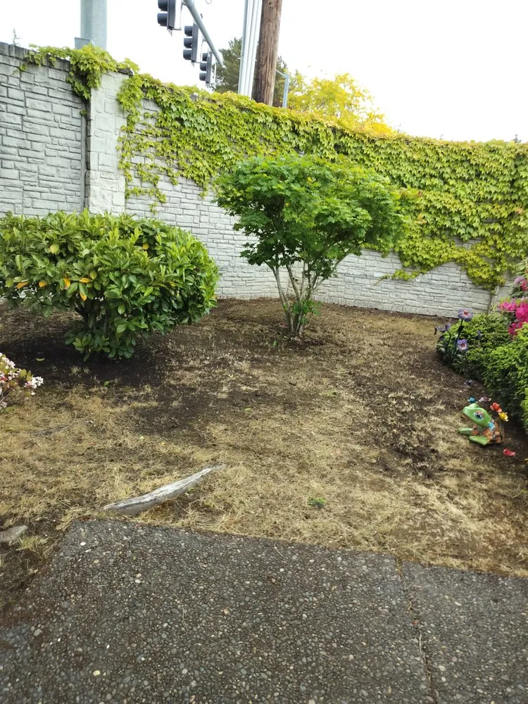 Trusted yard cleanup service near you across Hillsboro, OR - LL Yard Services