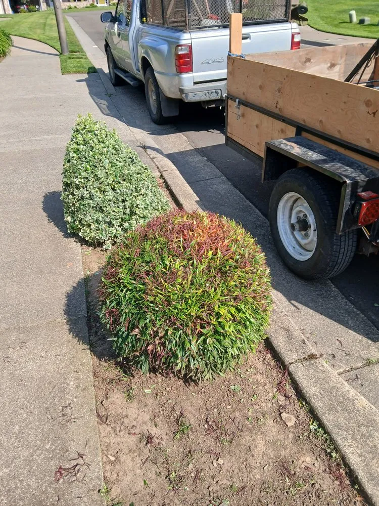 Affordable landscape design for beautiful yards across Hillsboro, OR - LL Yard Services