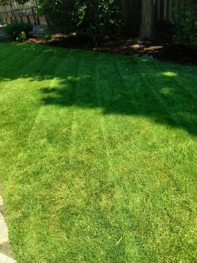 Top-rated yard maintenance in Hillsboro, OR - LL Yard Services