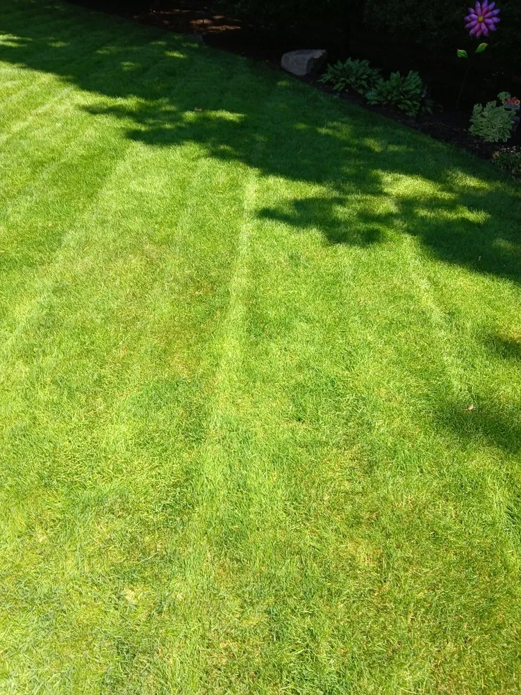 Professional landscape design in Hillsboro, OR by LL Yard Services