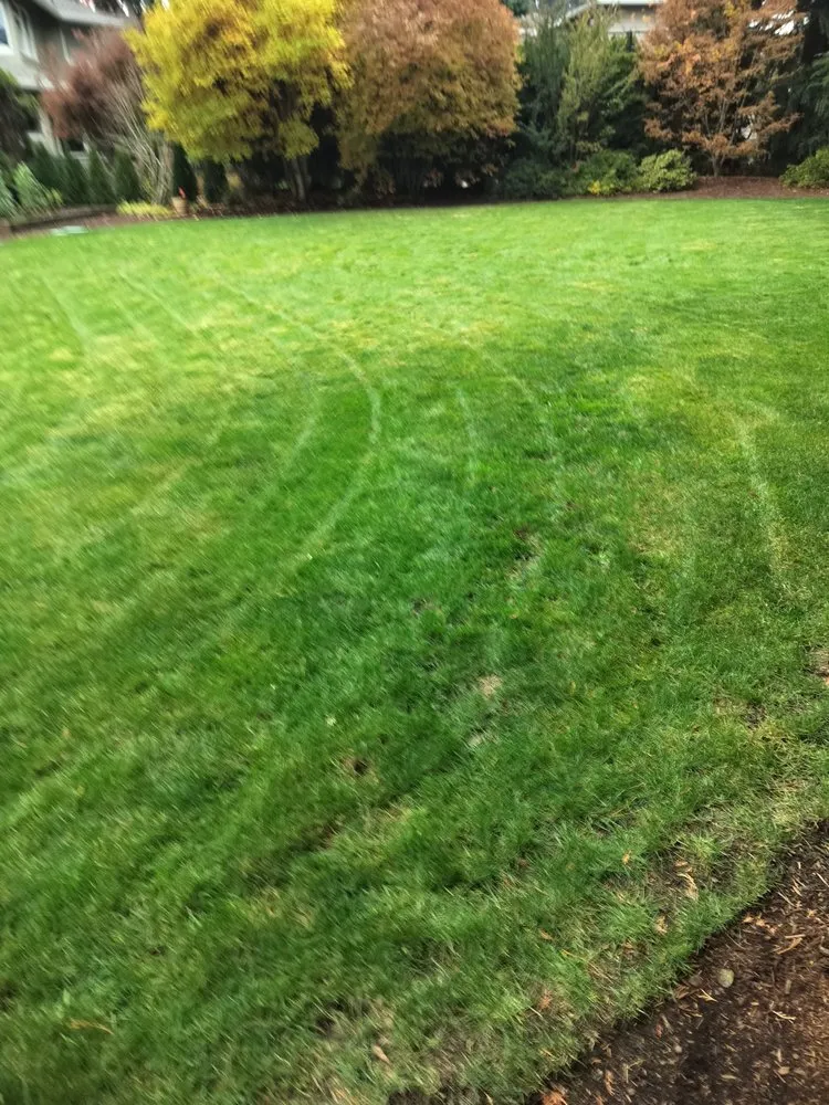 Expert landscaping services in Hillsboro, OR by LL Yard Services