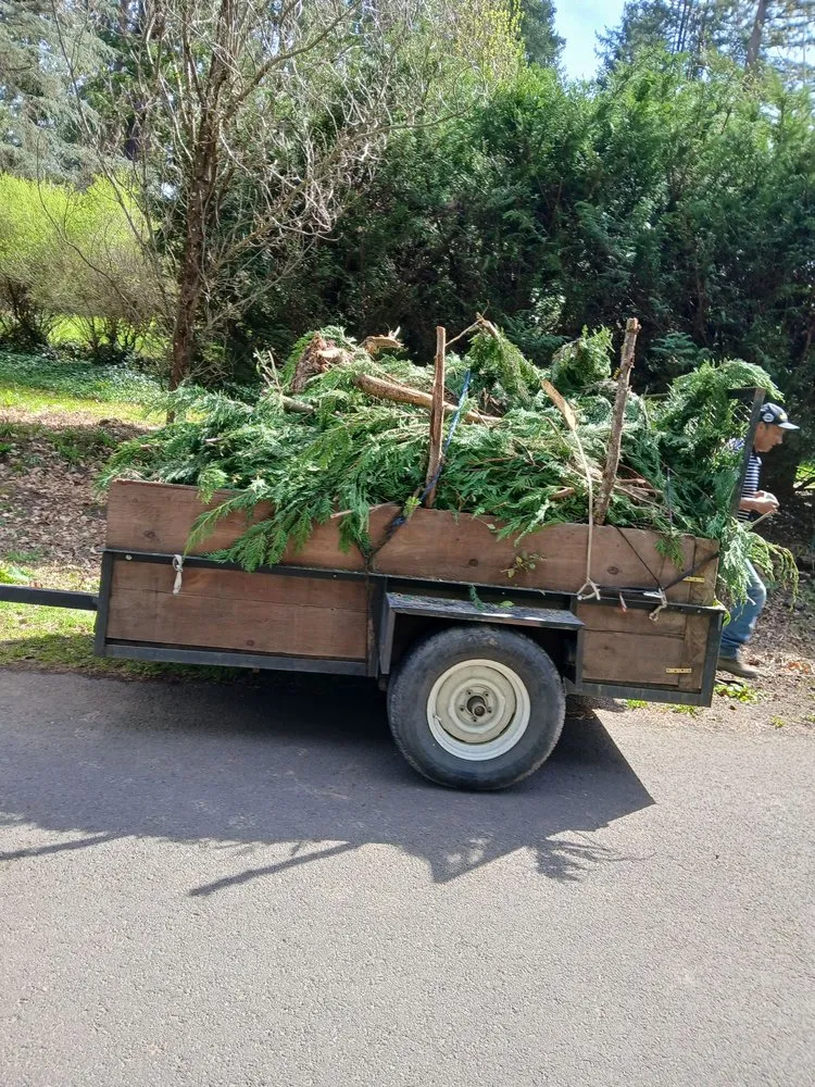 Custom lawn mowing service experts serving Hillsboro, OR - LL Yard Services