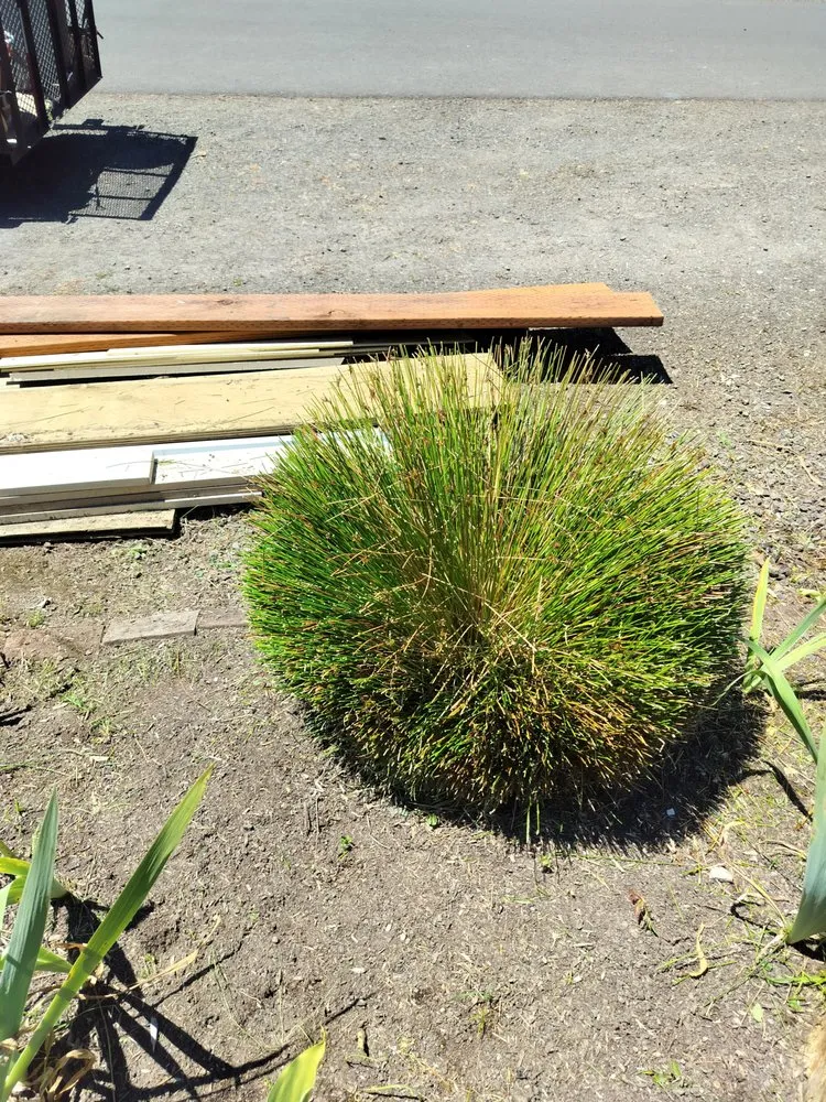 Trusted landscaping services experts serving Hillsboro, OR - LL Yard Services