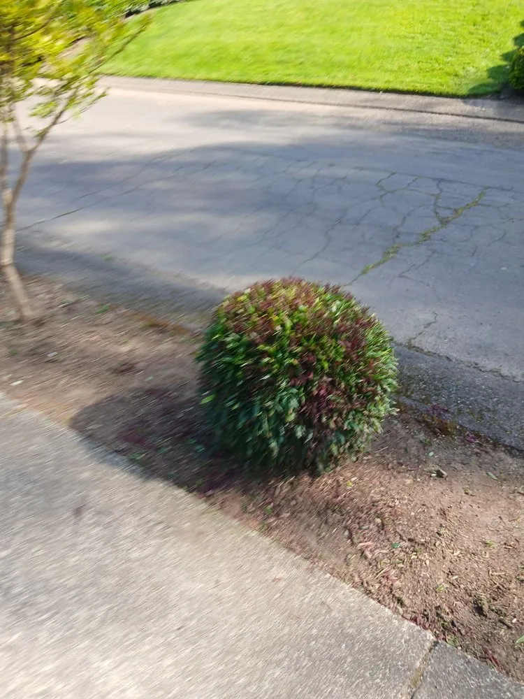 Professional residential landscaping experts serving Hillsboro, OR - LL Yard Services