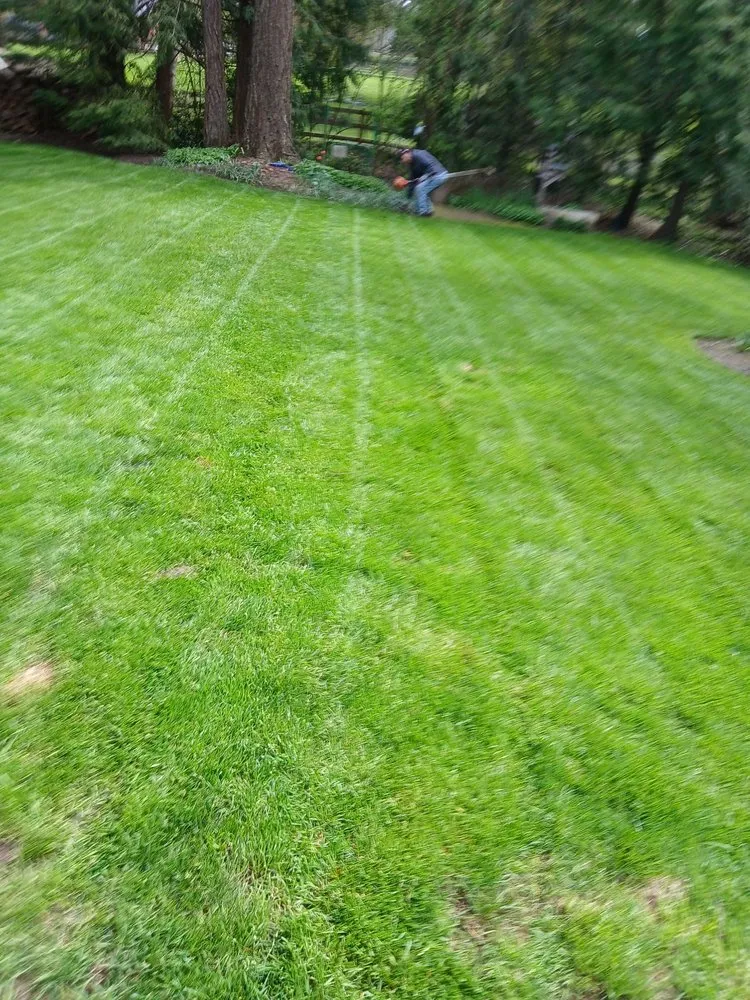 Professional lawn care service for outdoor upgrades in Hillsboro, OR by LL Yard Services