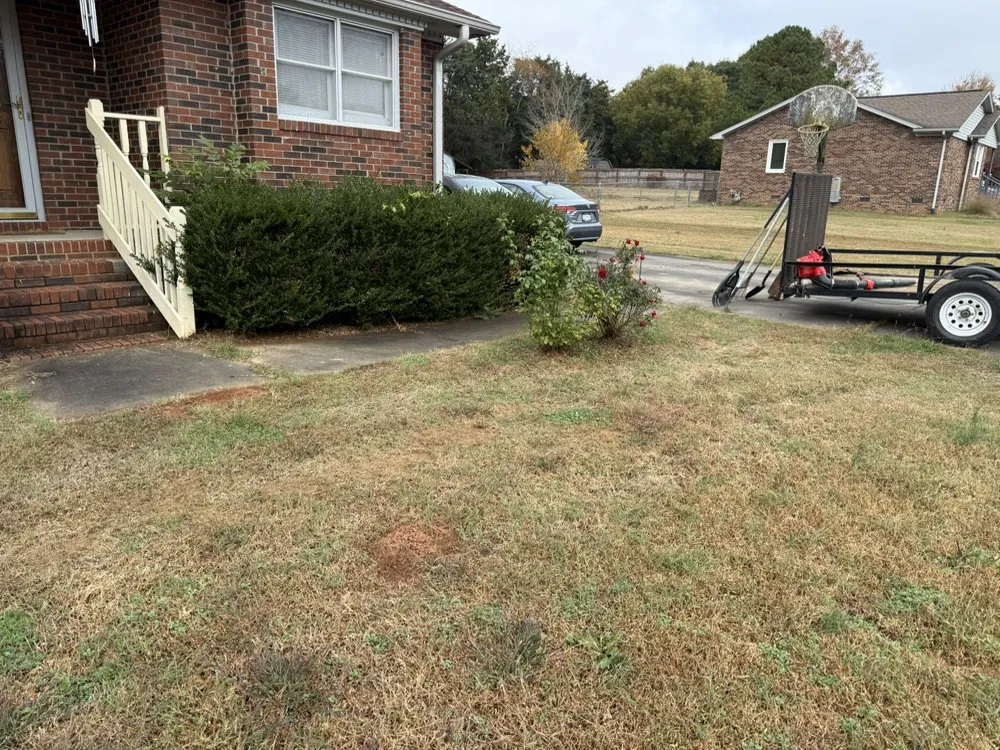 Professional lawn mowing service in Clover, SC - LLA Landscaping