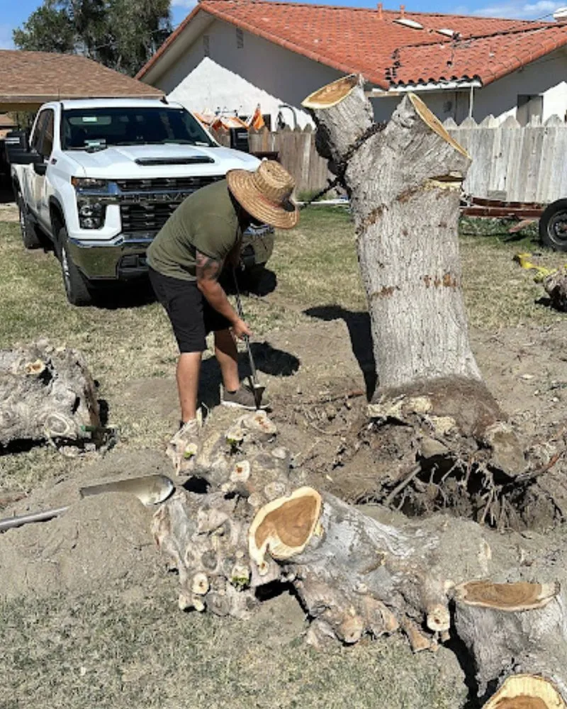 Professional residential landscaping in Coachella, CA - Llanes Landscaping