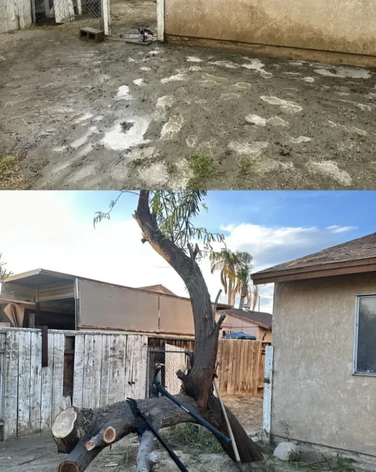 Top-rated landscape design near you across Coachella, CA - Llanes Landscaping