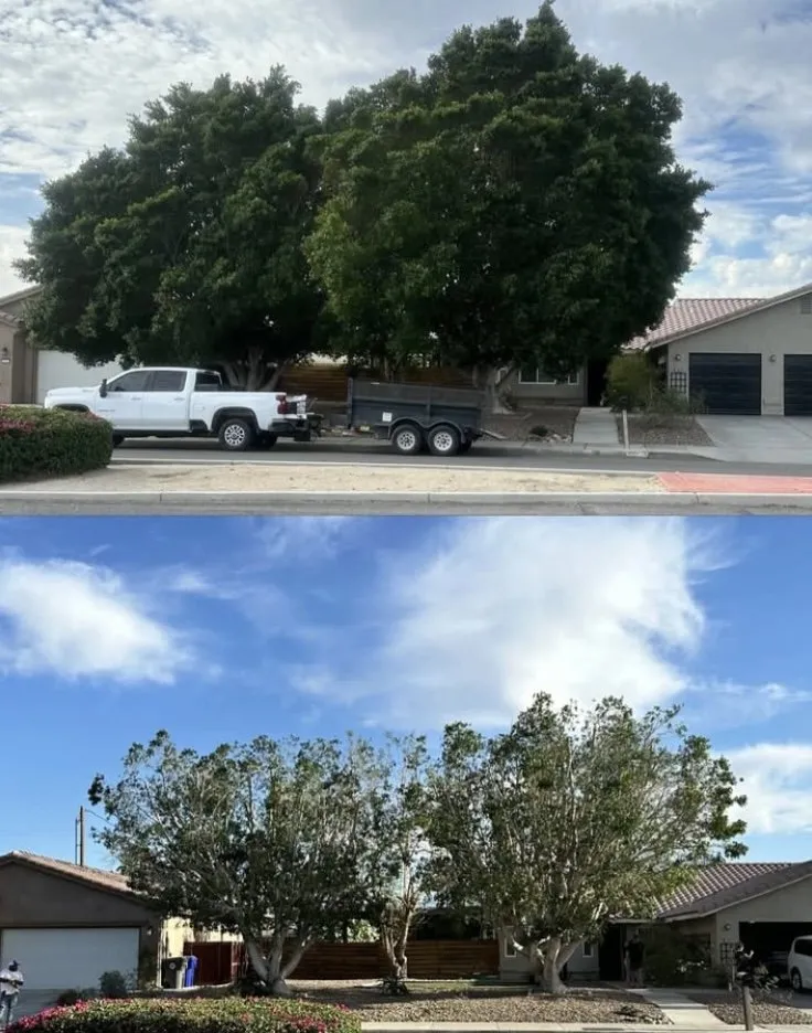 Local outdoor landscaping with custom design in Coachella, CA by Llanes Landscaping