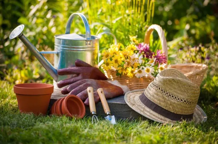 Local lawn mowing service in Coachella, CA - Llanes Landscaping