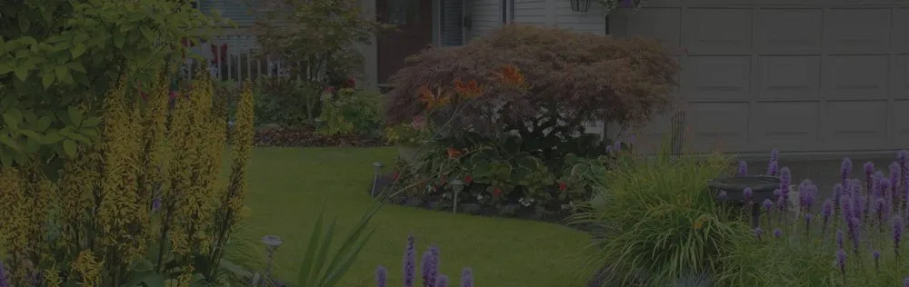 Professional landscaping services for outdoor upgrades across Coachella, CA - Llanes Landscaping