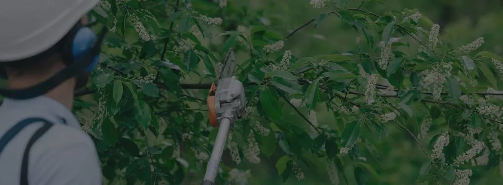 Custom residential landscaping in Coachella, CA by Llanes Landscaping