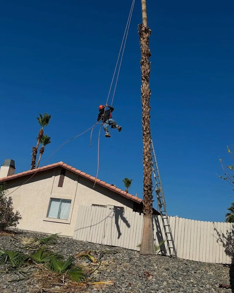 Professional landscape design in Coachella, CA by Llanes Landscaping