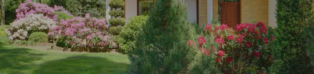 Custom landscape design in Coachella, CA by Llanes Landscaping