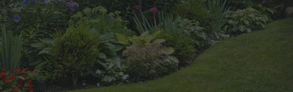 Top-rated outdoor landscaping in Coachella, CA - Llanes Landscaping