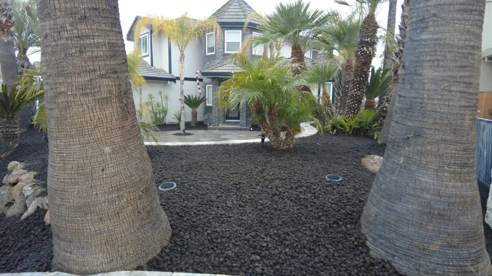 Top-rated lawn care service in Brentwood, CA by Llano Grande Landscaping