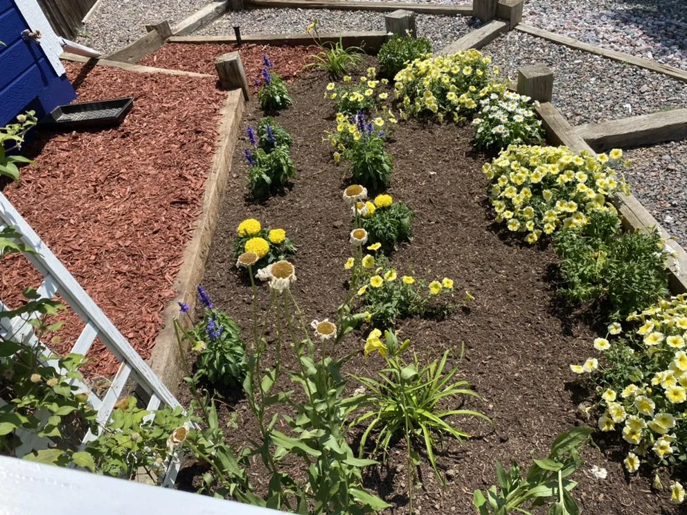 Local yard cleanup service in Berthoud, CO by Llano Verde Landscaping