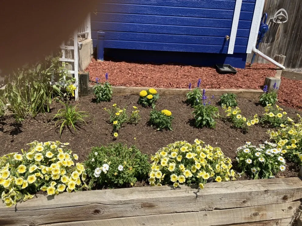 Top-rated lawn care service experts serving Berthoud, CO - Llano Verde Landscaping