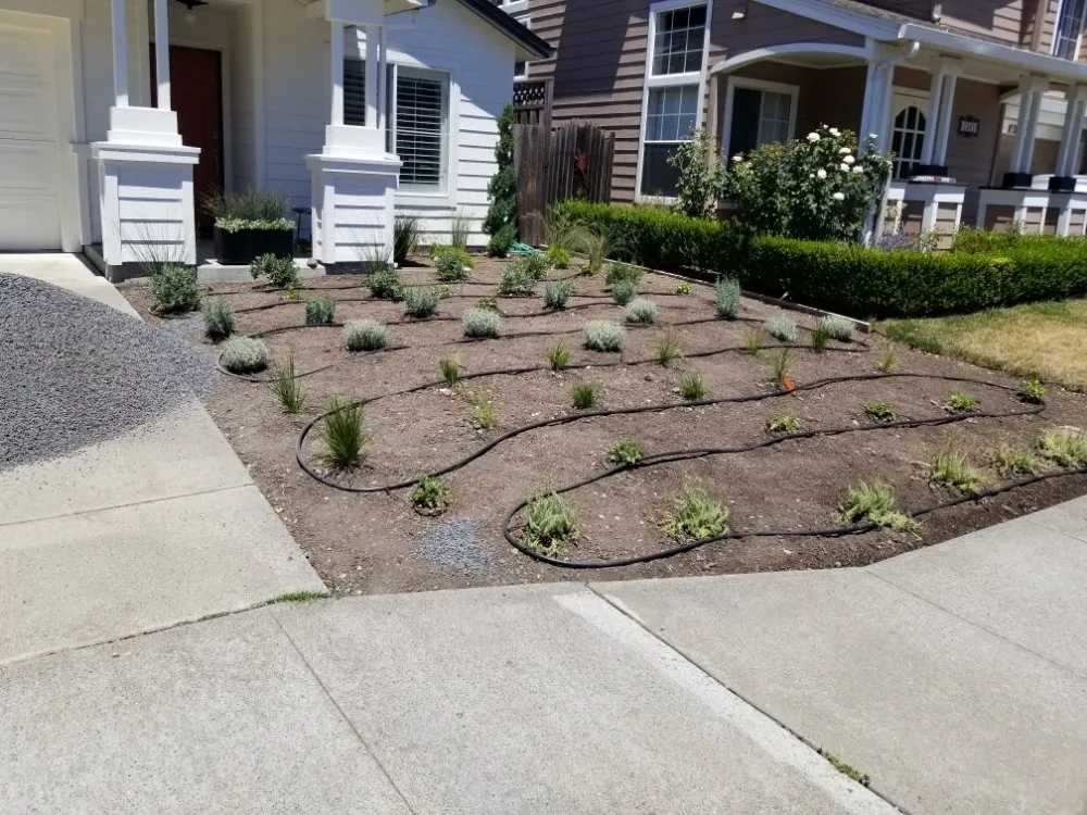 Professional landscape installation with custom design in Sonoma, CA by Llanos Yard Maintenance