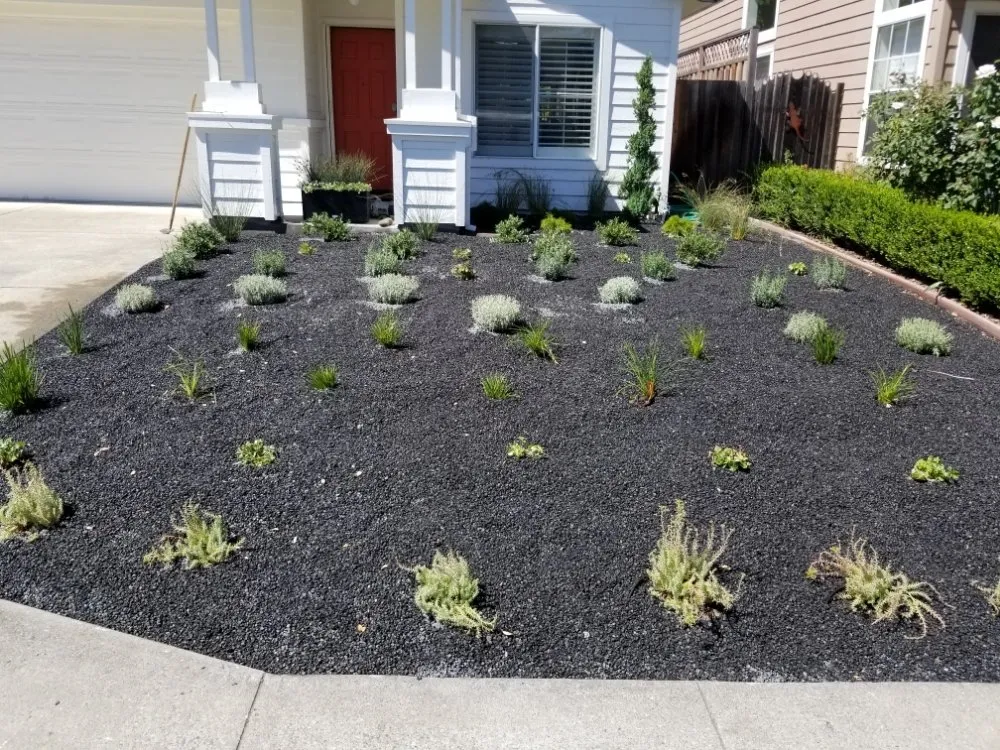 Custom landscape installation experts serving Sonoma, CA - Llanos Yard Maintenance