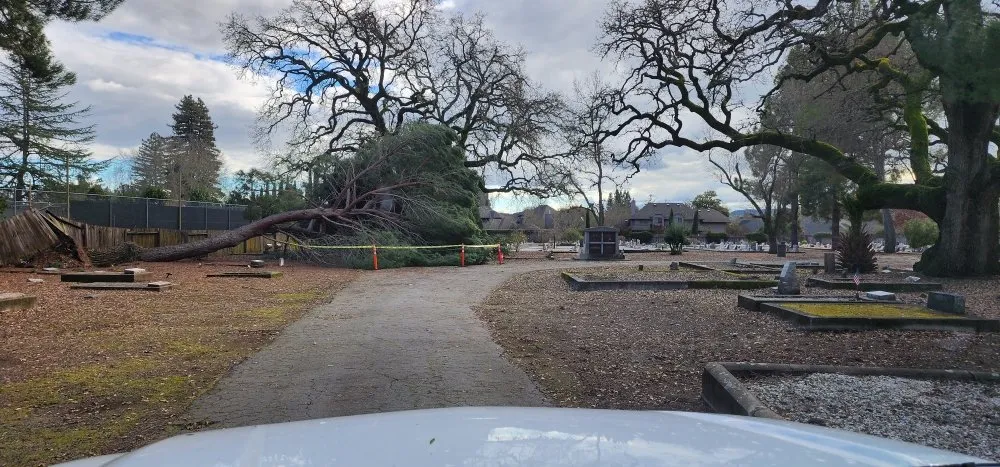 Professional lawn mowing service with custom design in Sonoma, CA by Llanos Yard Maintenance