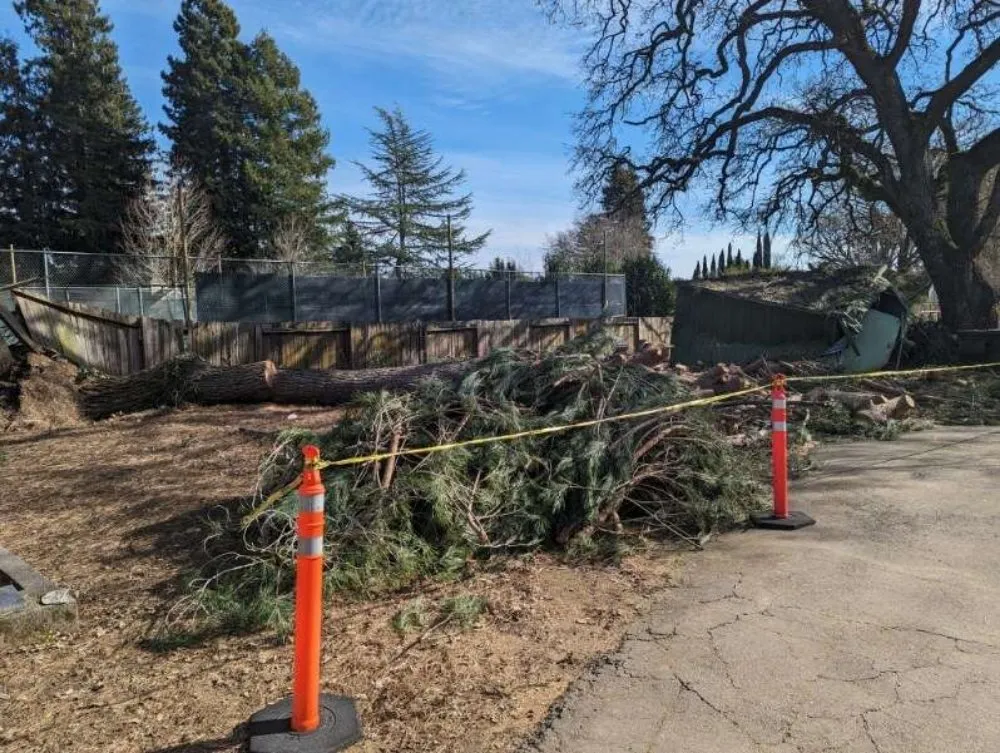 Professional lawn care service for year-round maintenance across Sonoma, CA - Llanos Yard Maintenance