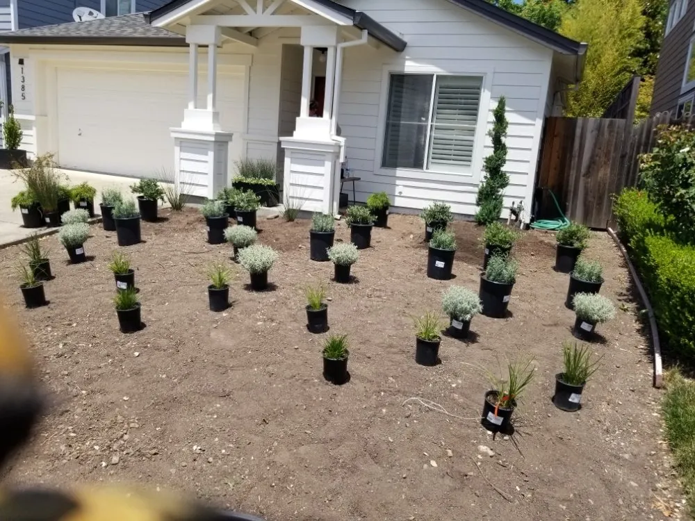 Trusted landscaping services in Sonoma, CA by Llanos Yard Maintenance