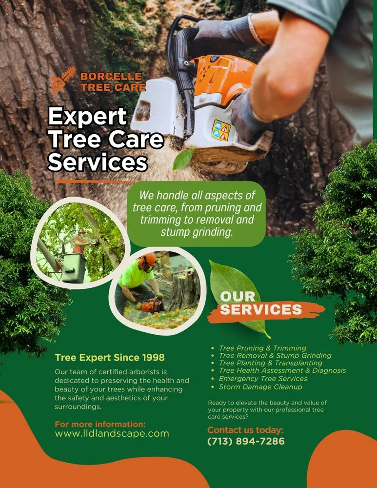 Affordable landscape design experts serving Pearland, TX - LLD Landscape & Lawn Designs Of Pearland