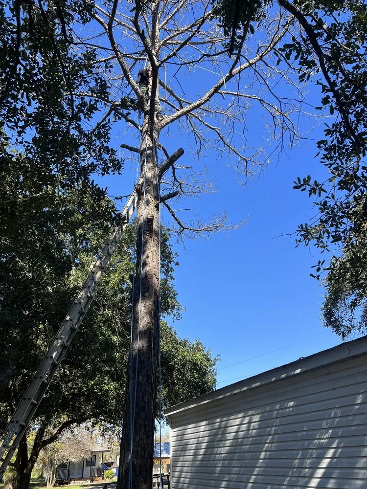 Professional lawn care service for residential properties across Pearland, TX - LLD Landscape & Lawn Designs Of Pearland